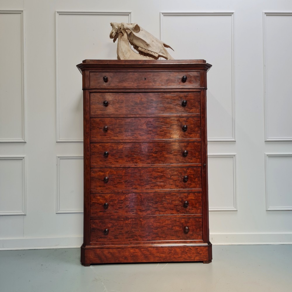 Antique French Collectors or Wellington Chest C1870  View II