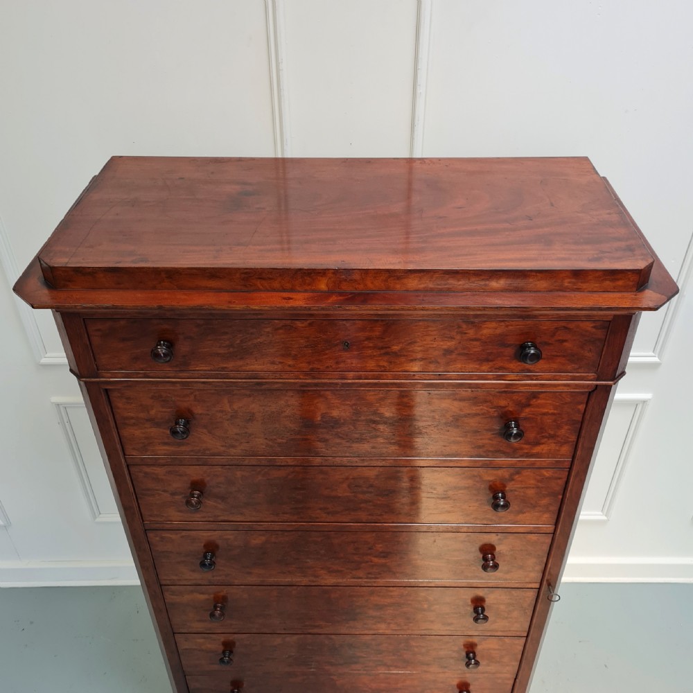 Antique French Collectors or Wellington Chest C1870  View VI
