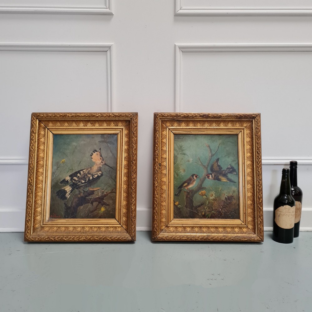Beautiful Antique Oil Painting of Hoopoe Bird View III