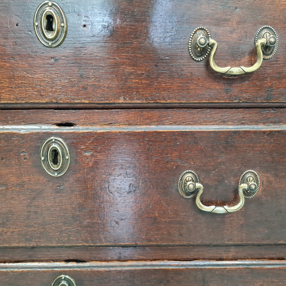 A dark oak Georgian chest of drawers featuring two short drawers over three long drawers with brass swan-neck handles and bracket feet. View III