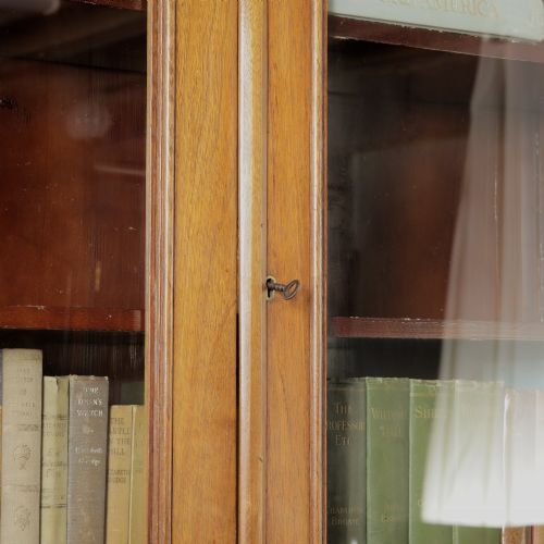 LATE VICTORIAN GLAZED BOOKCASE ABOVE CUPBOARD - ADDITIONAL PHOTO 9