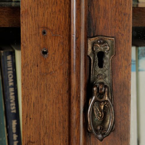 MIDVICTORIAN MAHOGANY GLAZED BOOKCASE ABOVE CUPBOARD - ADDITIONAL PHOTO 7