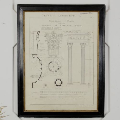 fig 1. A framed architectural illustration depicting technical drawings of the Corinthian order column, enclosed within a black wooden frame featuring gold trim.