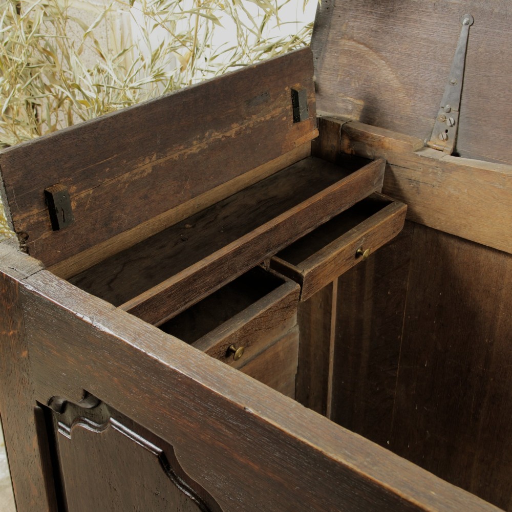 A large 18th-century dark oak mule chest featuring four arched fielded panels, three bottom drawers with brass drop handles, and a shaped apron. View IV