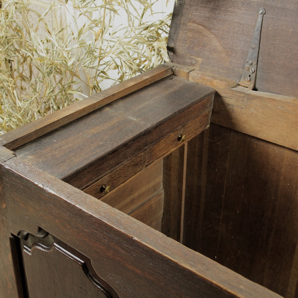 A large 18th-century dark oak mule chest featuring four arched fielded panels, three bottom drawers with brass drop handles, and a shaped apron. View V