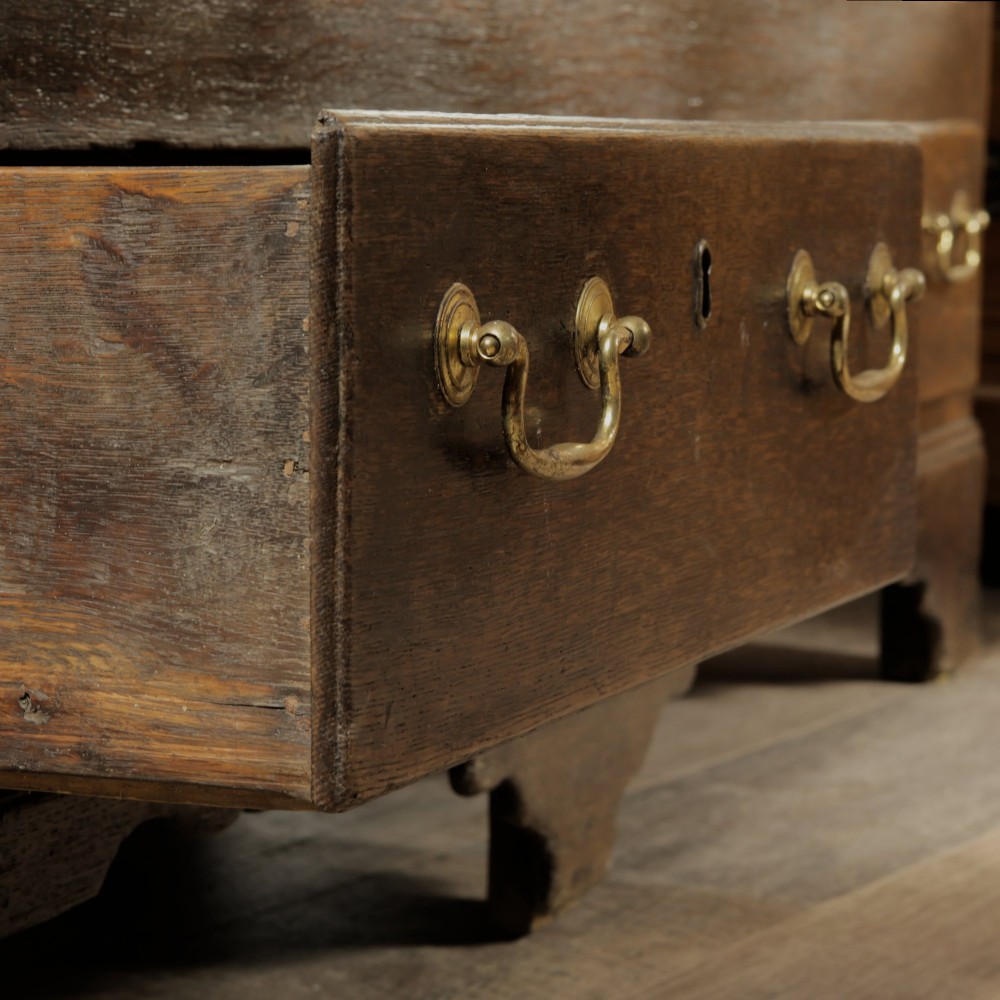A large 18th-century dark oak mule chest featuring four arched fielded panels, three bottom drawers with brass drop handles, and a shaped apron. View XI