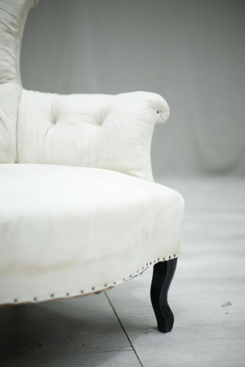 fig 1. Napoleon III Antique French fishtail armchair