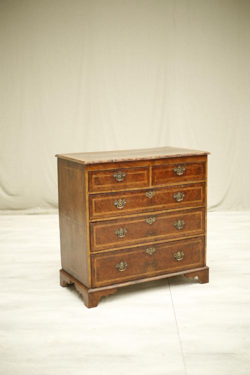 Georgian Burr Walnut Chest of Drawers	