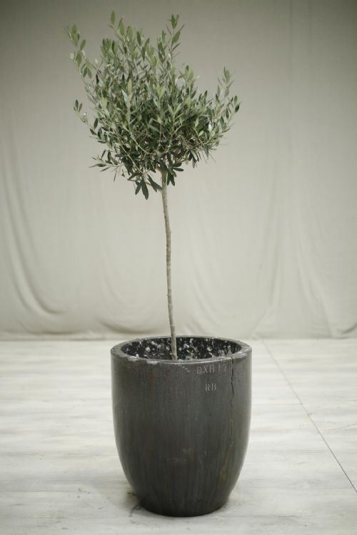 Very Large Smelting Pot- No4