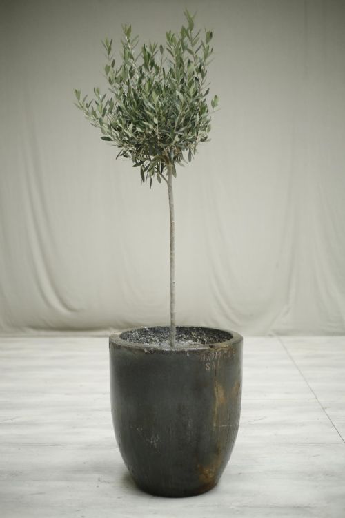 Very Large Smelting Pot- No5