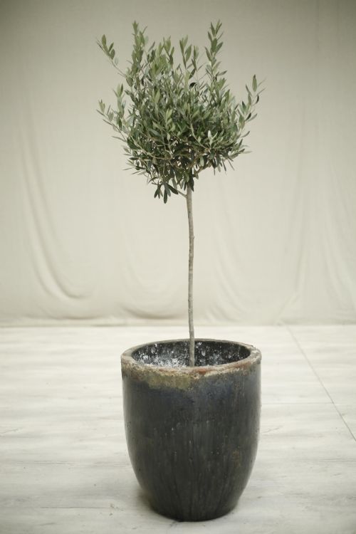 Very Large Smelting Pot- No6