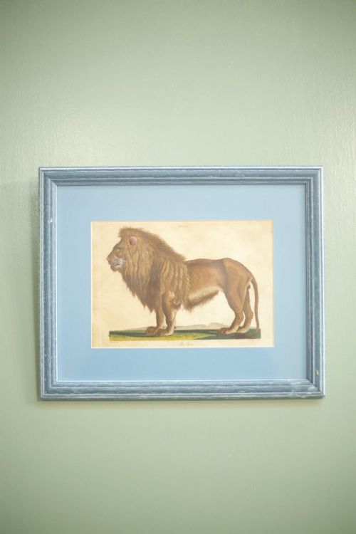18th Century Book Plate of a Lion