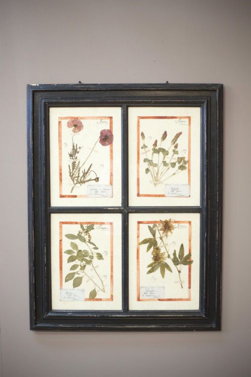 20th Century Herbarium Quad Frame No 1