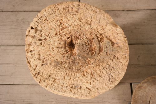 PAIR OF 19TH CENTURY RUSTIC WOOD SIDE TABLES - ADDITIONAL PHOTO 5