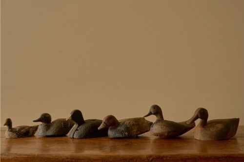 fig 1. An early twentieth-century hand-carved wooden decoy duck featuring a green head, carved bill, and a distressed painted finish on its body.