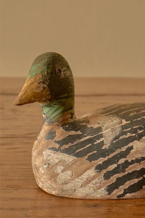 fig 2. An early twentieth-century hand-carved wooden decoy duck featuring a green head, carved bill, and a distressed painted finish on its body.