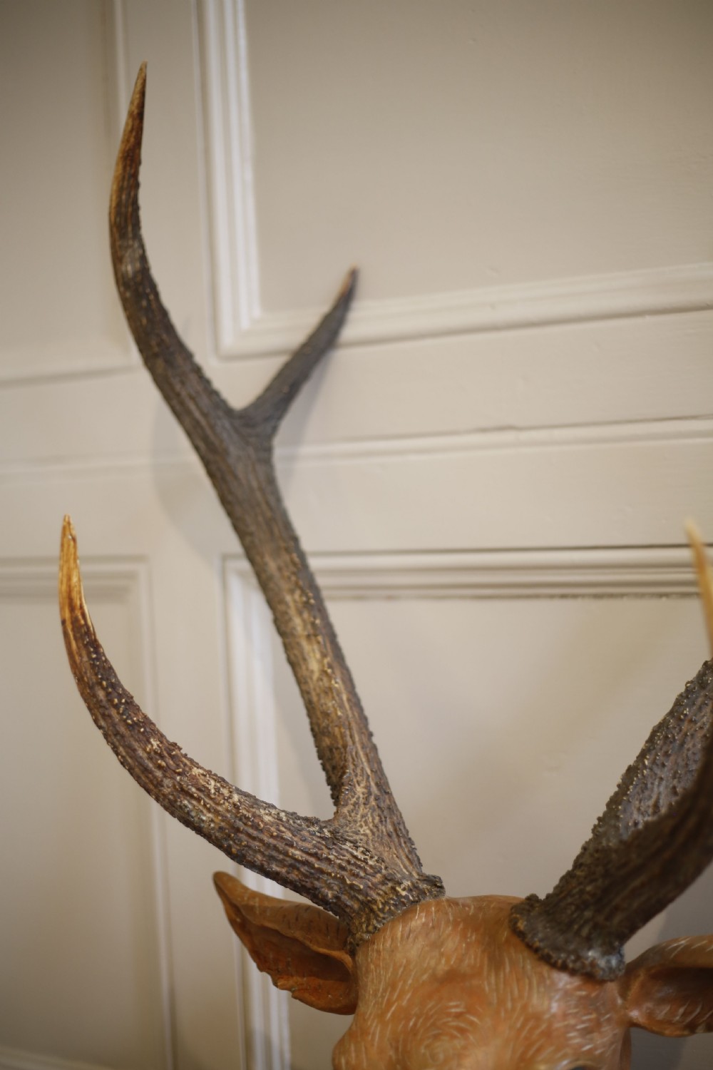 19th century Carved wooden Austrian deer head View IV