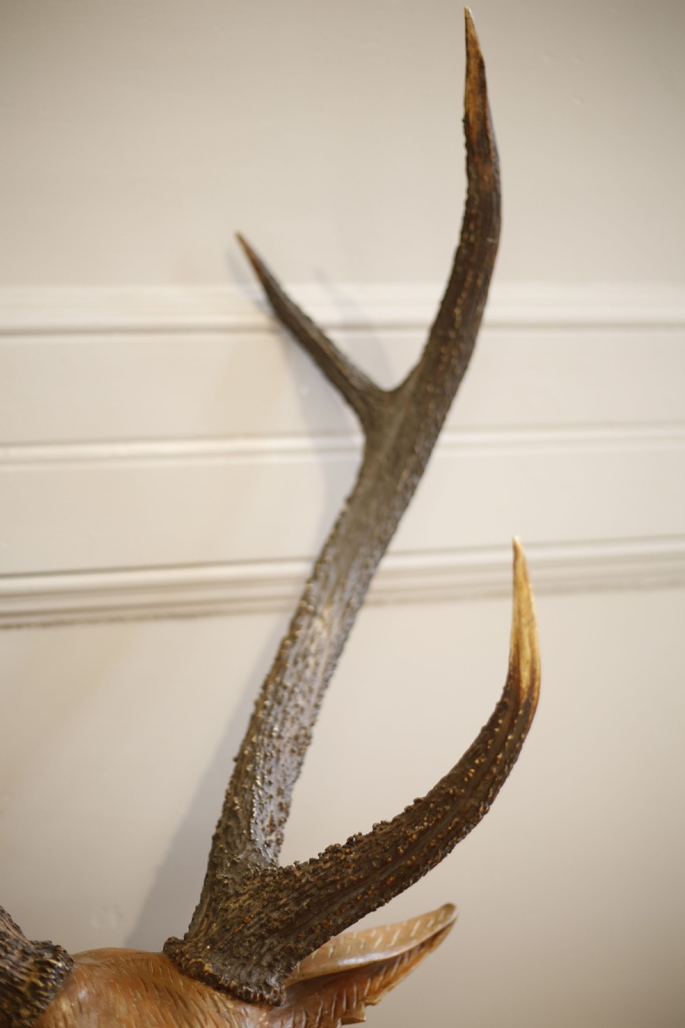 19th century Carved wooden Austrian deer head View V