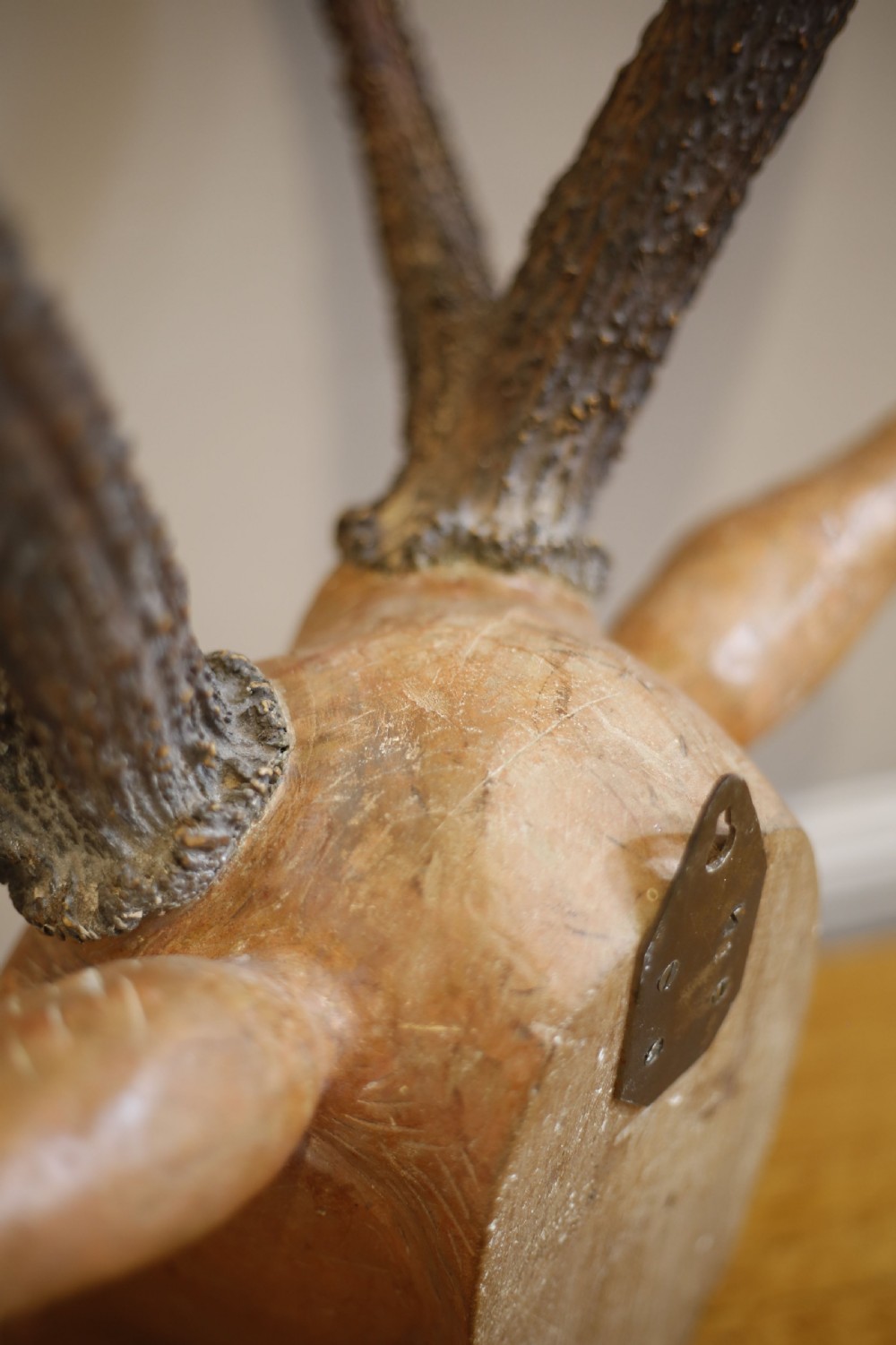 19th century Carved wooden Austrian deer head View XI