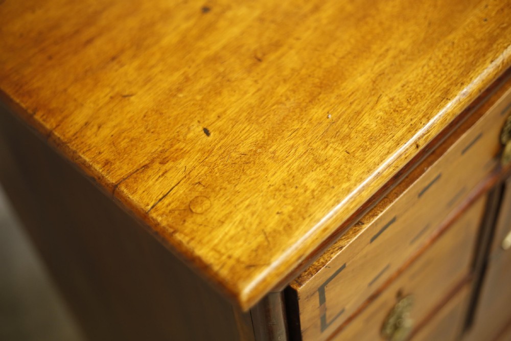 19th century Anglo-Chinese chest of drawers View VIII