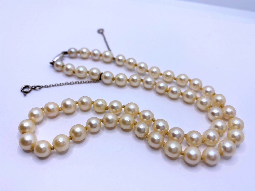 Pearls And Ciro Pearl Stud Earrings 
