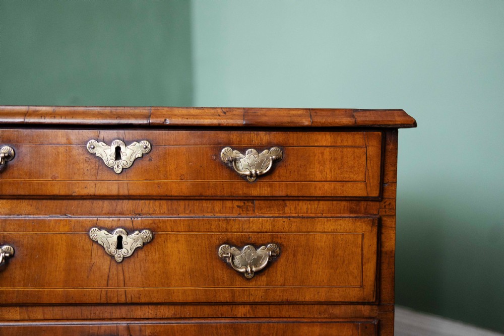 William and Mary Walnut Chest of Drawers with Drop Handles View VII