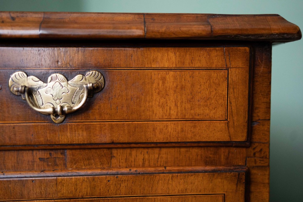 William and Mary Walnut Chest of Drawers with Drop Handles View VIII