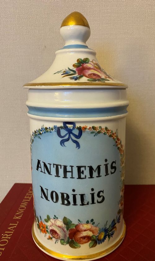 antique french apothecary jar - CATEGORY: ANTIQUE CERAMICS - DATED 1900
