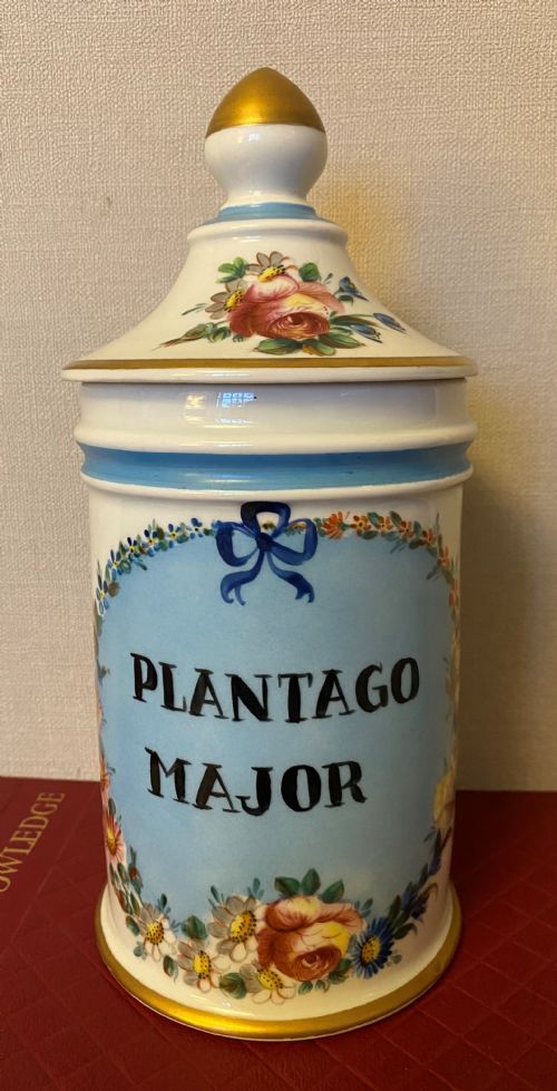 antique french apothecary jar - CATEGORY: ANTIQUE CERAMICS - DATED 1900