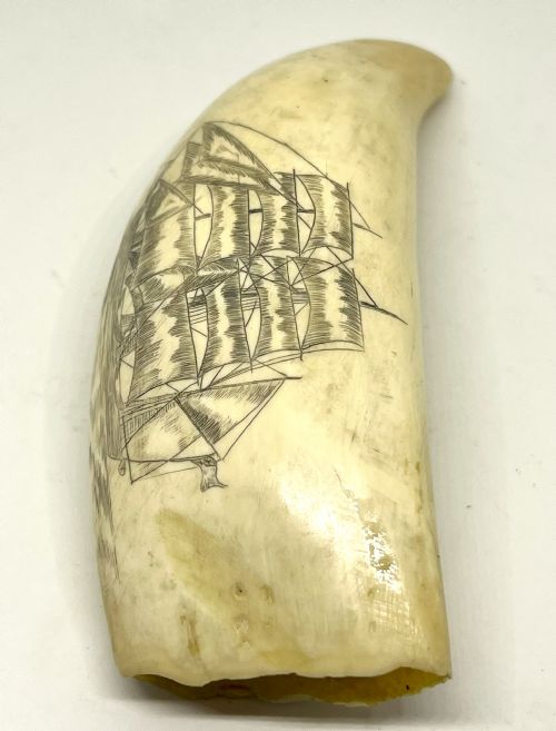 19TH CENTURY SCRIMSHAW WITH DETAILED CARVING OF A WHALING SHIP - ADDITIONAL PHOTO 3