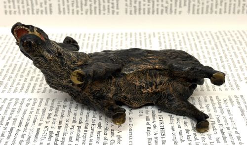 AUSTRIAN COLD PAINTED WILD BOAR - ADDITIONAL PHOTO 4
