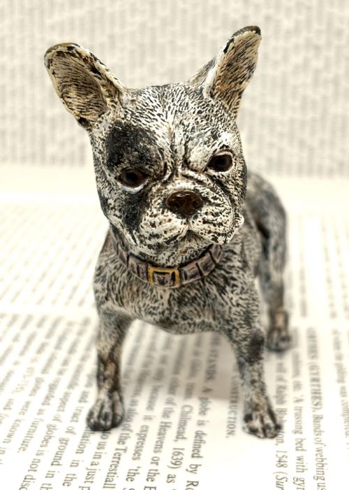 FRANZ XAVER BERGMANN COLD PAINTED BRONZE FRENCH BULLDOG - ADDITIONAL PHOTO 3