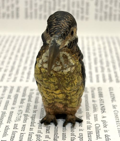FRANZ XAVER BERGMANN COLD PAINTED BRONZE KINGFISHER - ADDITIONAL PHOTO 2