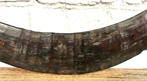 VICTORIAN AUSTRALIAN BOOMERANG - ADDITIONAL PHOTO 1