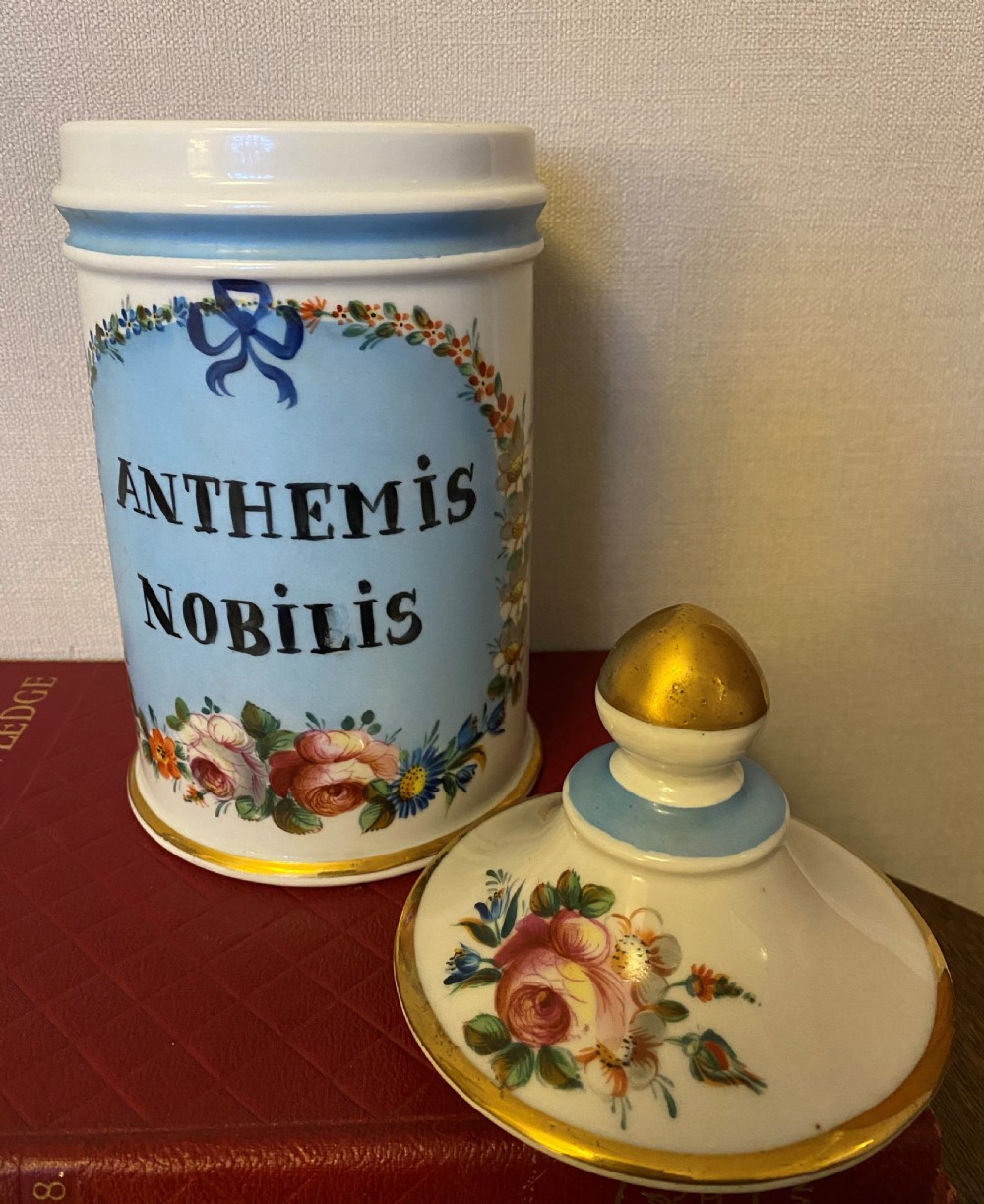 Antique French Apothecary Jar View III