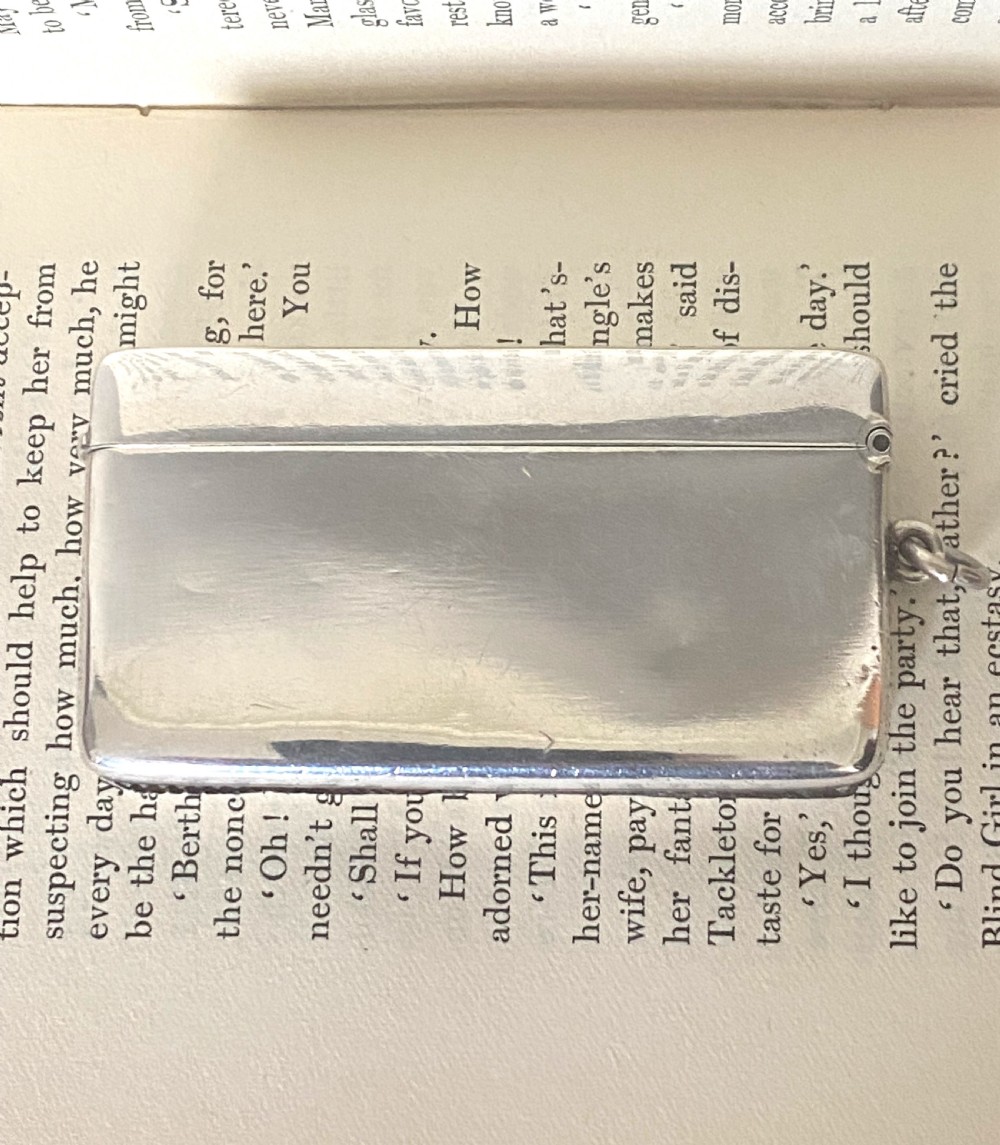 Large Oblong Solid Silver Vesta Case View II