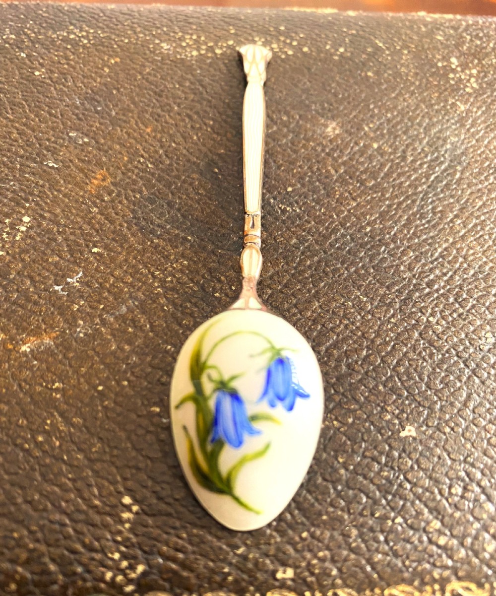 Fabulous Silver & Enamel Flower Decorated Cased Spoons View VII