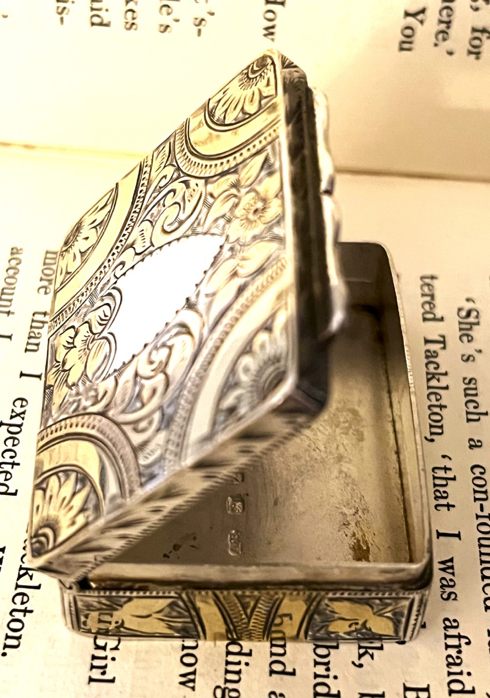 Fine Victorian Silver Snuff Box View V