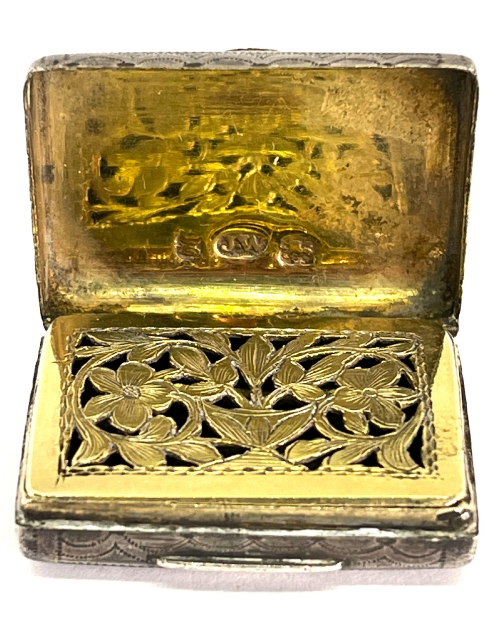 Georgian Silver Satchel Vinaigrette View III