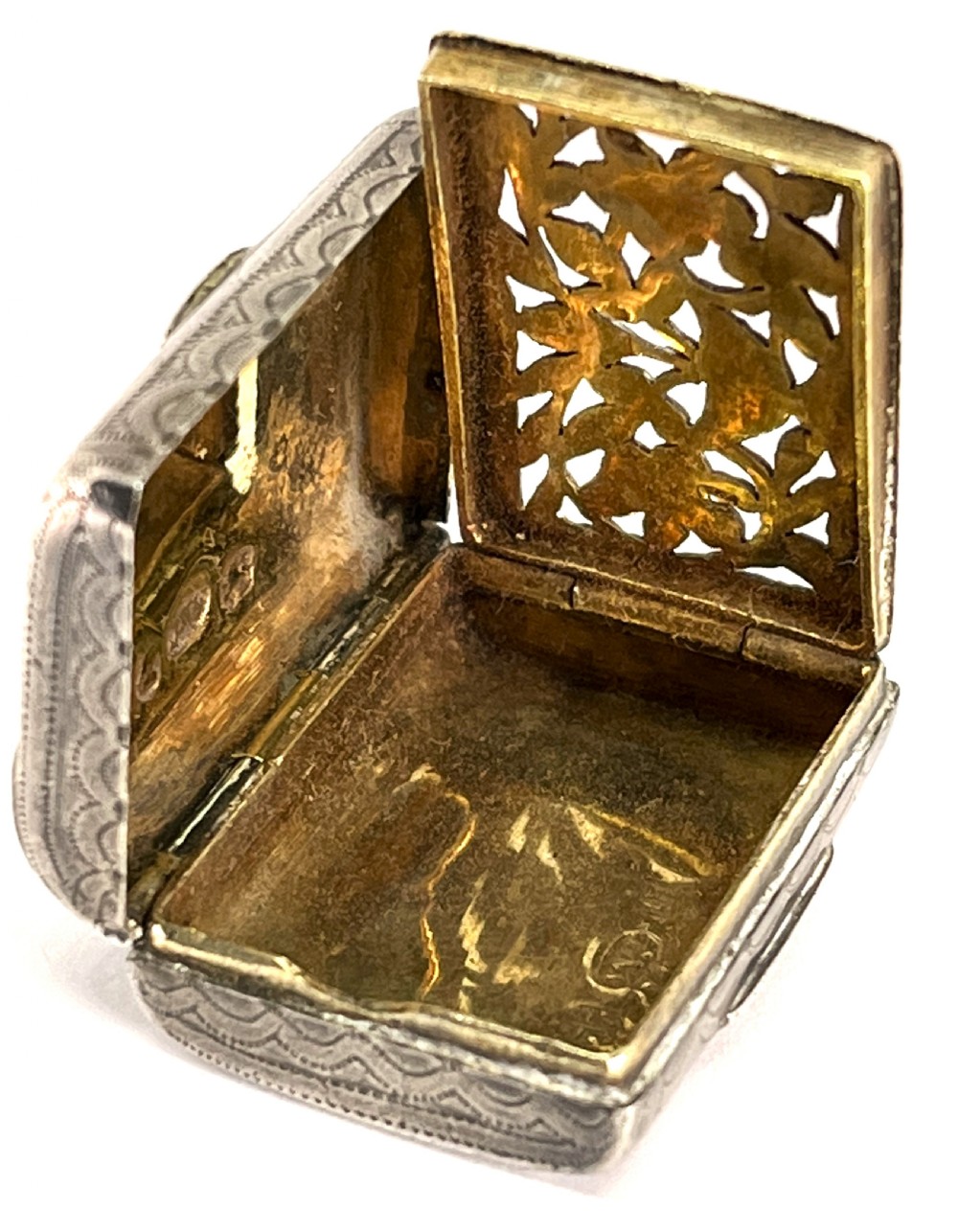 Georgian Silver Satchel Vinaigrette View IV