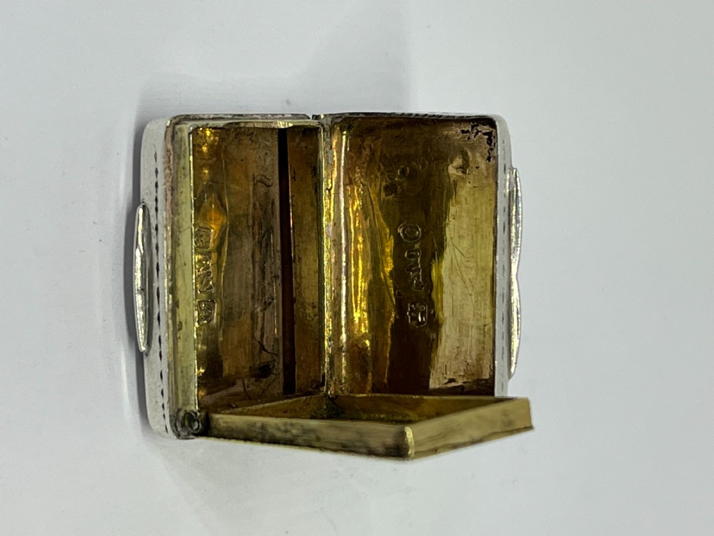 Georgian Silver Vinaigrette View III