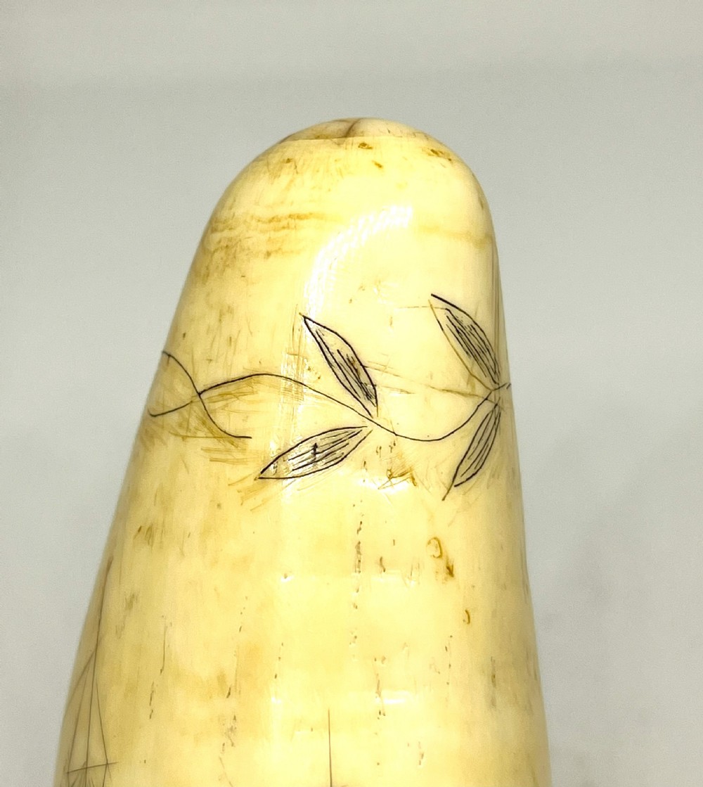 19th Century American Scrimshaw View IV