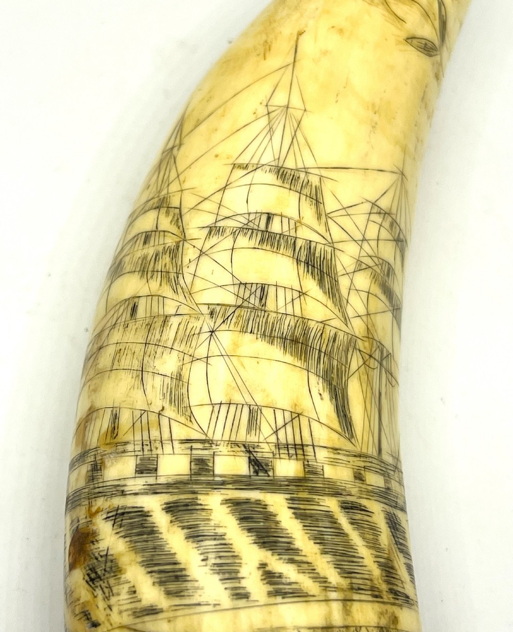 19th Century American Scrimshaw View V