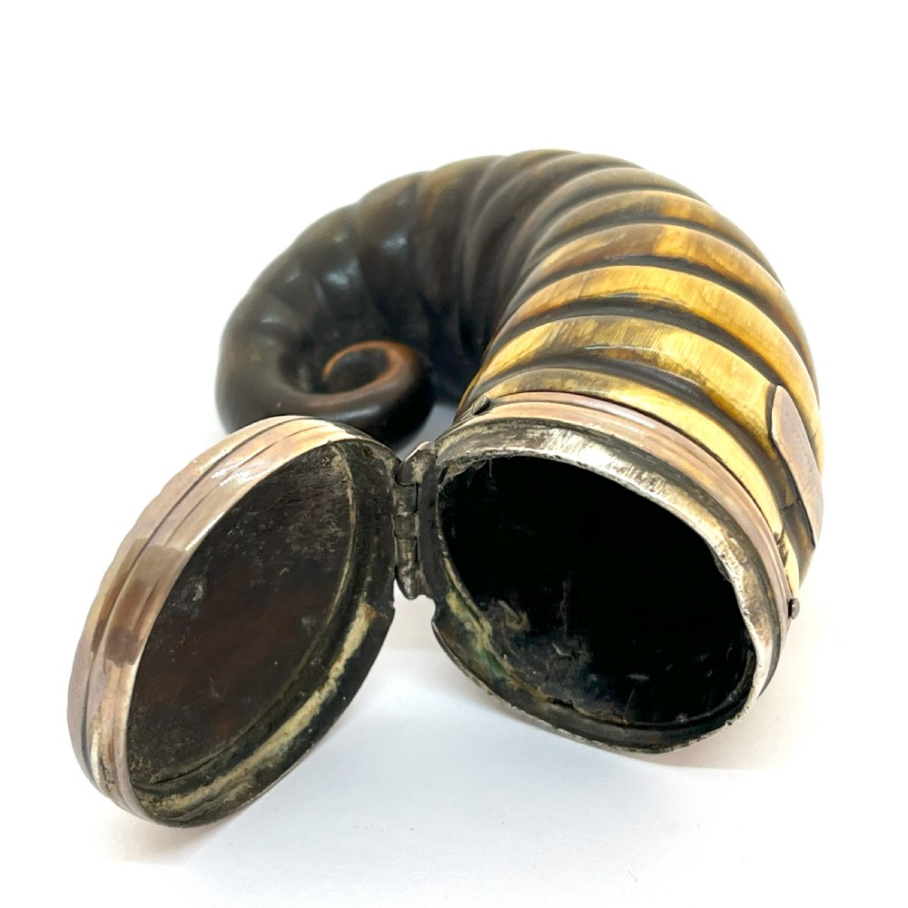 19th Century Silver Mounted Ram's Horn Snuff Mull View IV