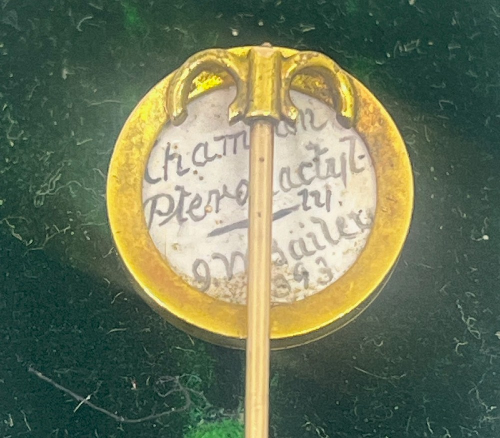 John William Bailey(1831-1914) Gold Canine Portrait Enamelled Stick Pin.  View IV