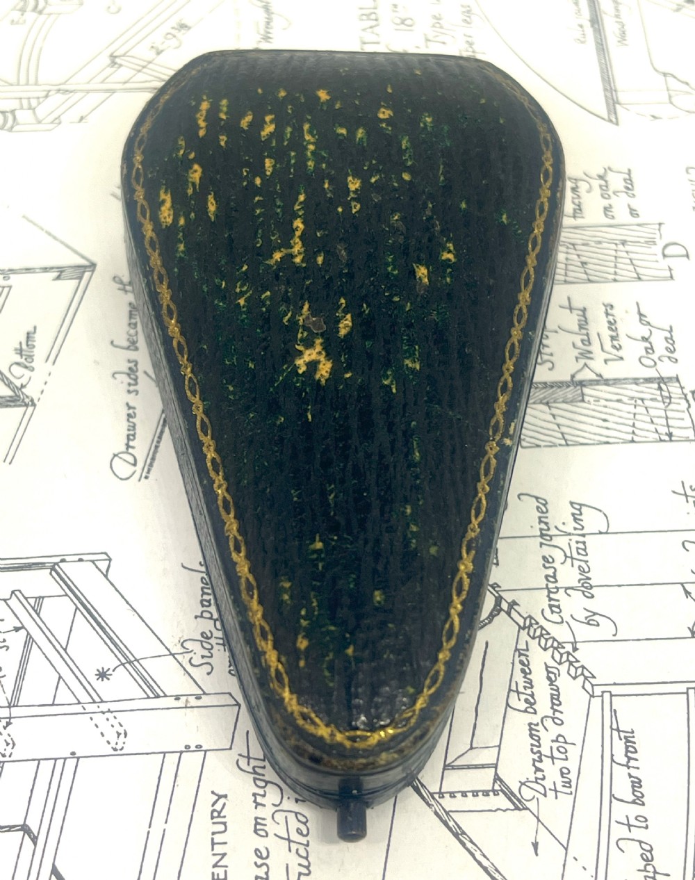 John William Bailey(1831-1914) Gold Canine Portrait Enamelled Stick Pin.  View V