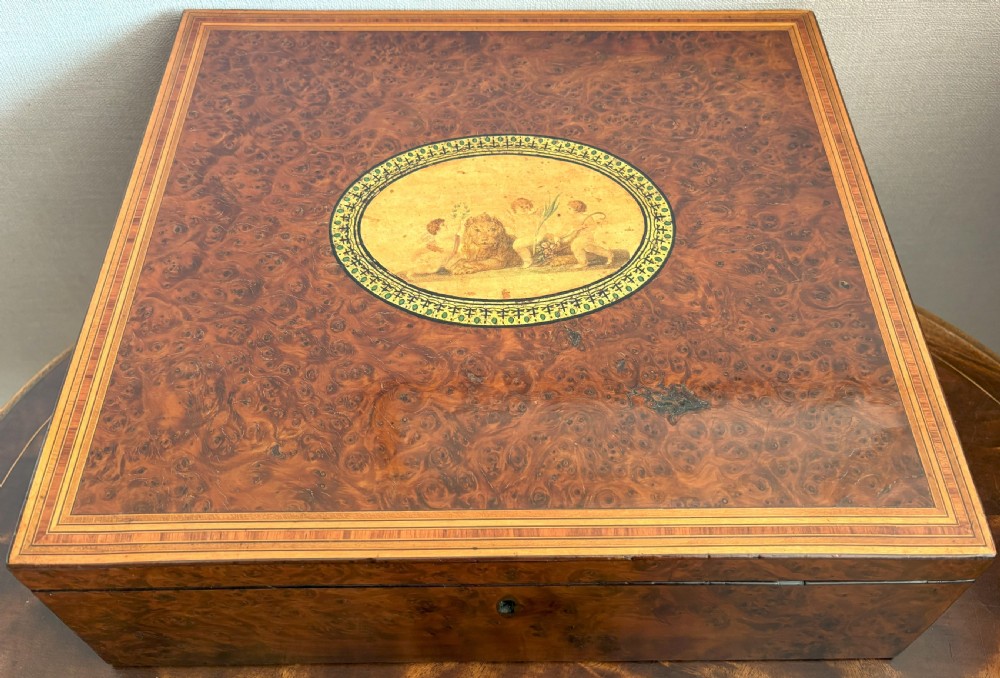 A rectangular burr yew wood box featuring a central oval medallion depicting cherubs with a lion, framed by geometric inlaid borders.