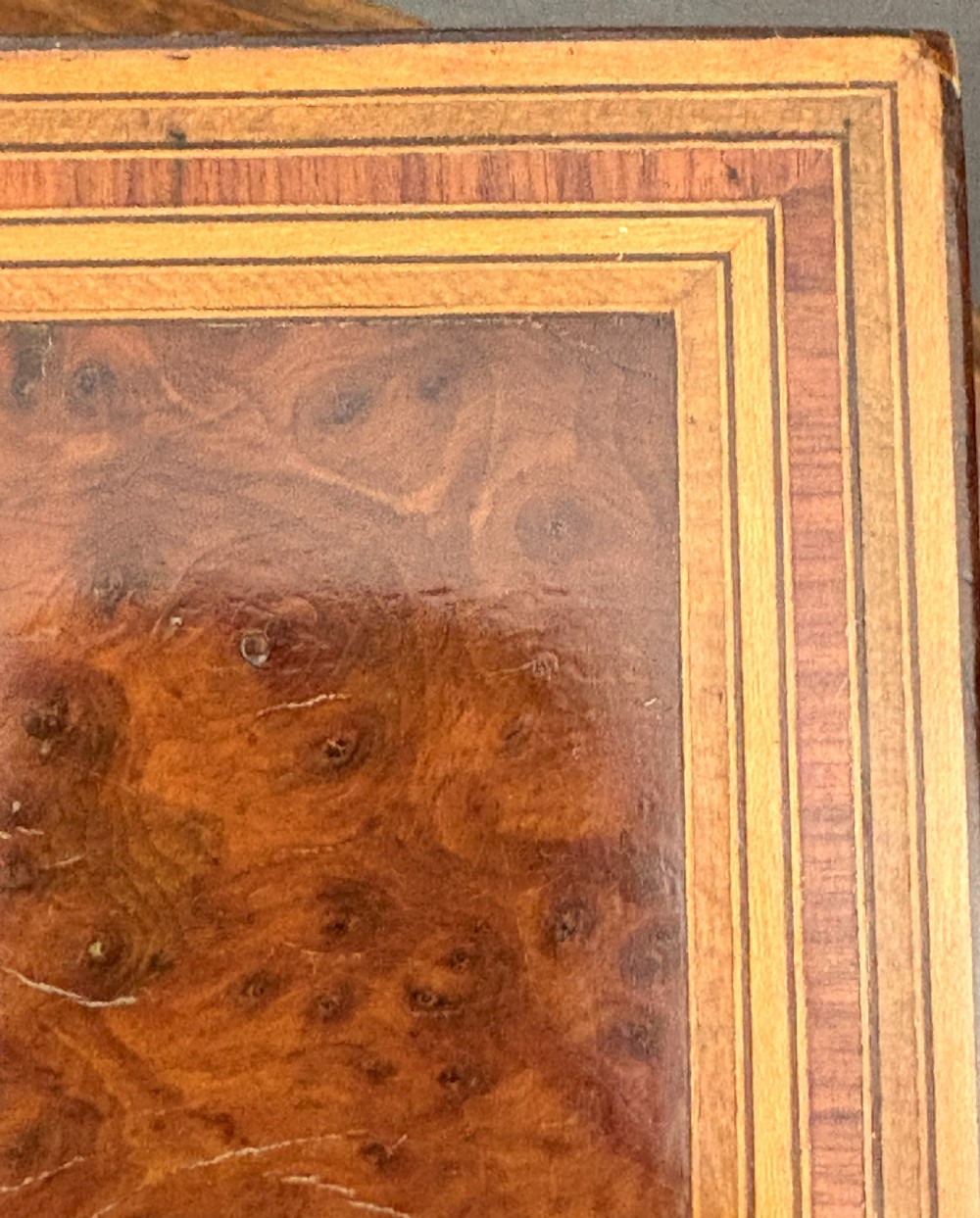A rectangular burr yew wood box featuring a central oval medallion depicting cherubs with a lion, framed by geometric inlaid borders. View XV
