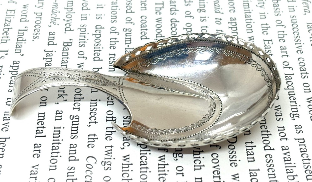 Georgian Silver Hoof Shaped Caddy Spoon View IV