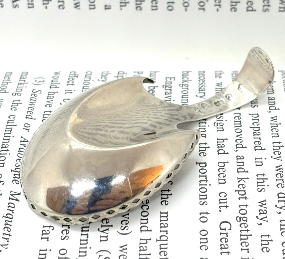 Georgian Silver Hoof Shaped Caddy Spoon View VI